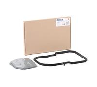 Embrague/Caja de cambios > Accesorios de caja de cambios > Filtro hidráulico, transmisión automática