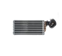 Mahle AE 32 000P - Vaporizador