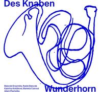 Mahler : Das Knaben Wunderhorn. Knezikova, Cukrova, Plachetka, Baborak.