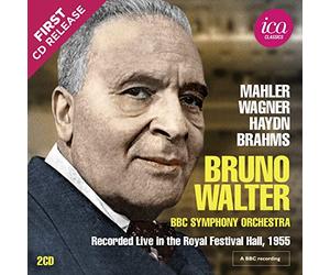Mahler, Wagner, Haydn & Brahms: Works for Orchestra