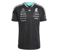 Maillot Auténtico Mercedes AMG Petronas Formula One Team Driver S