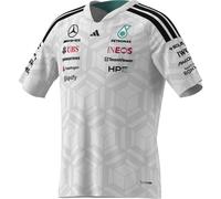 Maillot infantil Mercedes AMG Petronas Formula One Team Driver 15/16 ans
