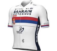 Maillot mangas cortas BAHRAIN - VICTORIOUS Campeón de Serbia 2024 S