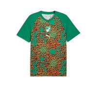 Maillot Prematch Costa de Marfil Coupe du monde 2026 XS