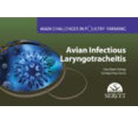Main Challenges In Poultry Farming. Avian Infectious Laryngotrach Eiti