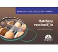 Main Challenges In Poultry Farming. Hatchery Vaccination