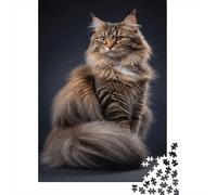 Maine Coon Cat Rompecabezas para Adultos Studio Portrait 1000 Piezas Papel Reciclado para Adultos Rompecabezas Juego Educativo para Relajarse 38x26cm/1000pcs