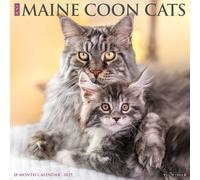 Maine Coon Cats 2025 Wall