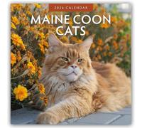 Maine Coon Cats 2026 Square Wall Calendar: Original Red Robin Publishing Ltd-Kalender [Mehrsprachig] [Kalender]