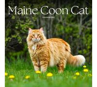 Maine Coon Cats Calendar 2027: Tufted Ears and Fluffy Tails