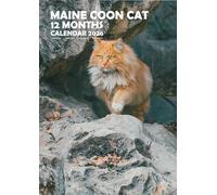 Maine Coon Cats Calendario 2026, A3, encuadernado con alambre, a todo color, paquete de pegatinas de calendario.