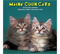 Maine Coon Cats - Calendario de pared 2010