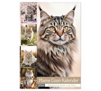 Maine Coon Kalender - Majestätische Katzen in der Natur (Wandkalender 2026 DIN A2 hoch), CALVENDO Monatskalender: Katzenkalender mit Maine Coon ... der beliebten Rasse in jeder Jahreszeit
