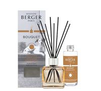 Maison BERGER - Bouquet perfumado - Difusor de perfume para casa - Mi interior sin olores a animales - Modelo de hielo champán - 6 palitos negros - 21 cm - Recambio de 100 ml - Fabricado en Francia