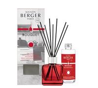Maison BERGER - Bouquet perfumado - Difusor de perfume para el hogar - Mi cocina sin malos olores - Modelo de hielo rojo - 6 palitos negros - 21 cm - Recarga de 100 ml - Fabricado en Francia