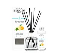 Maison BERGER - Ramo perfumado - Modelo de hielo transparente - 6 hebras negras - 21 cm - Incluye recarga de 100 mililitros - Duración de difusión de 4 a 6 semanas (ralladura de Verveine)