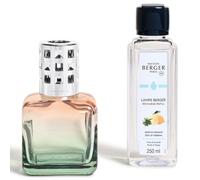 Maison Berger - Caja de regalo de cubitos de hielo - Difusor de perfume de ambiente 250 ml - Elimina los olores, purifica el aire, objeto decorativo para el hogar o la oficina (queso verde - ralladura