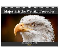Majestätische Weißkopfseeadler - Der König der Lüfte (Wandkalender 2026 DIN A3 quer), CALVENDO Monatskalender: Majestätische Weißkopfseeadler sind in ... einzigartigen Greifvogels im Vogelkalender