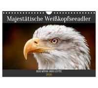Majestätische Weißkopfseeadler - Der König der Lüfte (Wandkalender 2026 DIN A4 quer), CALVENDO Monatskalender: Majestätische Weißkopfseeadler sind in ... einzigartigen Greifvogels im Vogelkalender