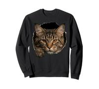 Majestic Maine Cat Amber Eyes Mirando a través Sudadera