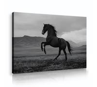 Majestuoso arte de pared de caballos estampado de lienzo de animales salvajes paisaje de montaña pintura moderna de póster enmarcado con mural para la decoración del dormitorio principal 40x60cm