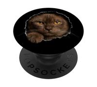 Majestuoso Gato Birmano Mirando a través PopSockets PopGrip Adhesivo