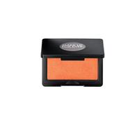 Make Up For Ever Artist Blush B360 Hot Lava