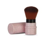 MAKEUP BRUSH SET SOFT NYLON HAIR PORTABLE STRETCHABLE HANDLE PINK BLUE GREEN BEIGE 8.5 * 3cm 35g SUITABLE FOR BOTH PROFESSIONAL AND HOME USE (pink)