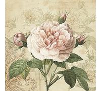 Maki Servilletas de papel de seda con diseño de rosas de 3 capas para decoupage, 33 cm x 33 cm, paquete de 20 (rosa vintage con brotes)