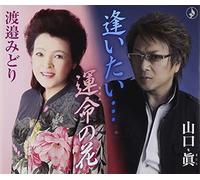 Makoto Yamaguchi & Midori Hana - Aitai. /Sadame No Hana [Import]