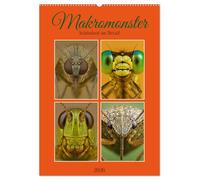Makromonster - Schönheit im Detail (Wandkalender 2026 DIN A2 hoch), CALVENDO Monatskalender: Makroaufnahmen enthüllen die faszinierende Struktur und ... Weichtier- und Gliederfüßlerwelt.