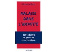 Malaise Dans Lidentité (ebook)
