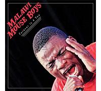 Malawi Mouse Boys - Forever Is 4 You