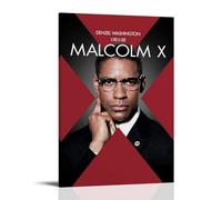 Malcolm X FilmPosters para dormitorio, póster estético, pintura decorativa, lienzo, arte de pared, póster para sala de estar, dormitorio, pintura de pared, estilo marco, 60 x 90 cm