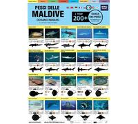 Maldive Guida Dei Pesci: I Top 200+ (Italian)