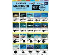 Malediven Fisch-Feldfuhrer: Der Top 200+ (German)