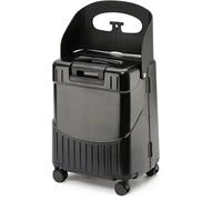 Maleta de paseo para niños, equipaje de mano con cerradura con 4 ruedas giratorias, equipaje resistente, diseño compartimental, incluye gancho para atar y bolsas para viajes, Black