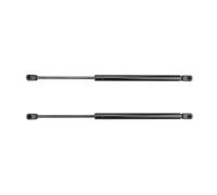 Maletero Dämpfer Compatible con Hyundai para Santafe 2001 2002 2003 2004 2005 2006 Soporte De Puntales De Gas para Portón Trasero De Coche, Amortiguador, 2 Piezas