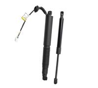 Maletero trasero varilla Prop 1551488-99-B 1551488-00-C 1551488-98-B Para Tesla Para Model 3 2021-2023 Amortiguador Eléctrico Trasero Izquierdo Derecho Portón