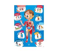 Hape Puzle del Cuerpo Humano | Puzzle Educativo de Madera | Incluye Órganos 3D y Póster Anatómico | Juguete Didáctico para Niños Desde 3 Años