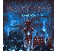 Malevolent creation - Rebirth / live