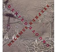 Malkmus, Stephen - Groove Denied