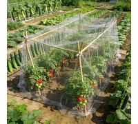 Malla Antigranizo para Verduras, Malla de Fina Antipajaros para Huerto Cama Elevada, Red de Insectos para Plantas De Jardín Invernadero, 3x10M(1x20m)