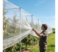 Malla de protección contra Granizo de 0,5 cm para árboles frutales y huertos. Resistente a desgarros. Protege Las Plantas (2 x 50 m).