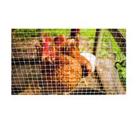 Malla Electrosoldada, Tela Metálica De Acero Inoxidable, Malla Cuadrada Alambre para Pollos Valla Paneles Barrera para Jardinería Pajarera (Color : 1|12x12mm, Tamaño : 1x5m)