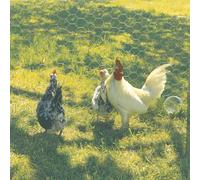 Nortene Galvanex 19 malla triple torsión Galvanizada 1x25 m