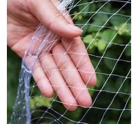 Malla para Gatos, Malla antipajaros 4 x 3 m/Transparente, Redes para Balcones, Mallas para gallinero, Nuevo Material antienvejecimiento, Ligero Pero Duradero, Malla Cuadrada de 2,5 cm