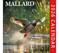 Mallard Calendar 2026: Gliding reflections and pond life captured across the year | Kalender Calendario Calendrier