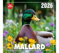 Mallard Calendar 2026: Gliding reflections and pond life captured across the year | Kalender Calendario Calendrier