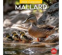 Mallard Calendar 2026: Gliding reflections and pond life captured across the year | Kalender Calendario Calendrier
